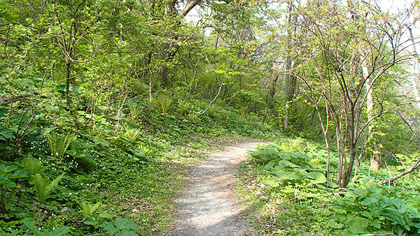 仏ヶ浦の遊歩道